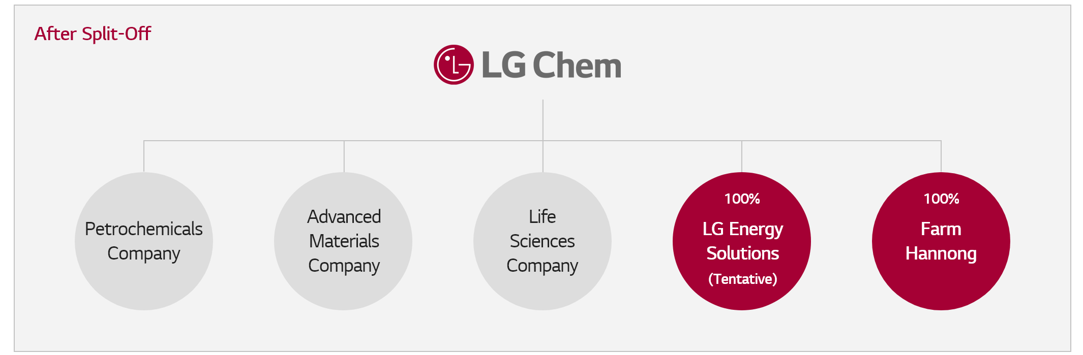 Lg Energy Solution